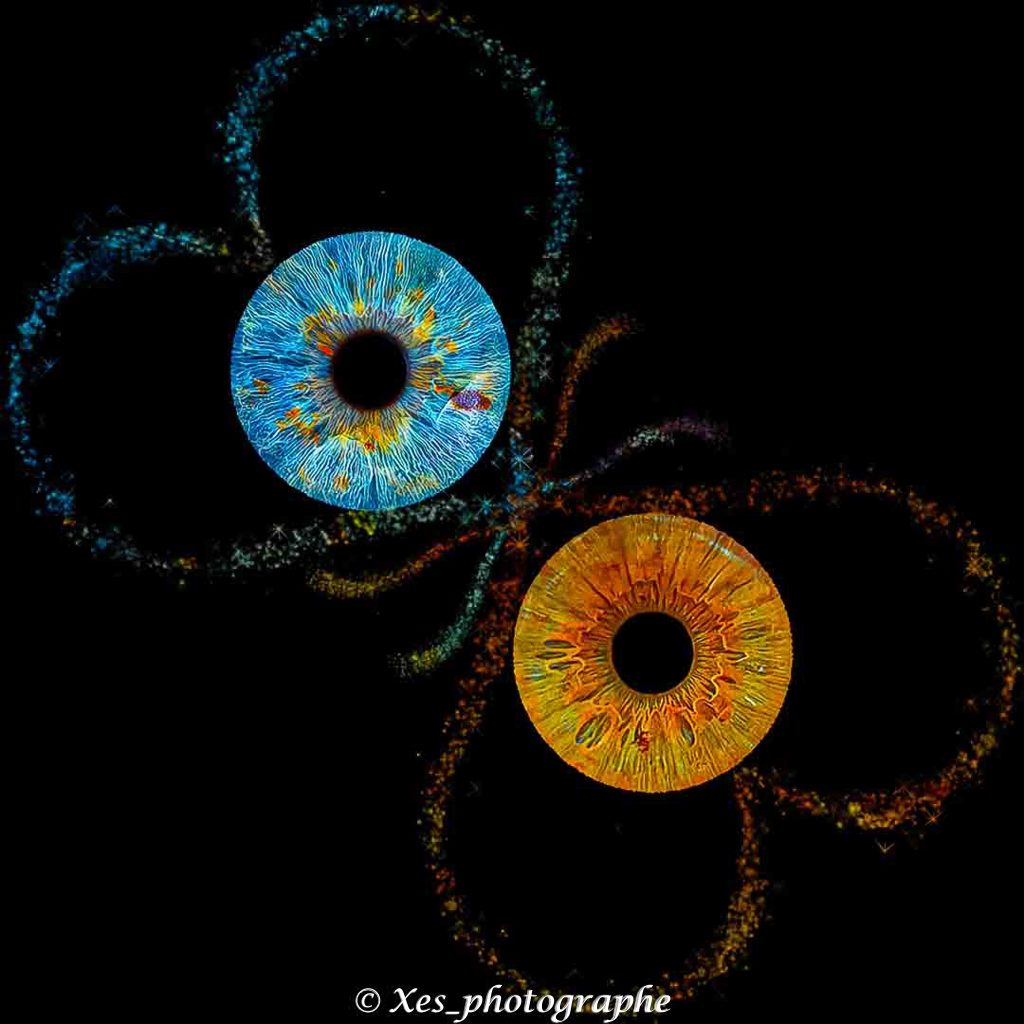 Détails artistiques de l'œil par XES Photographe