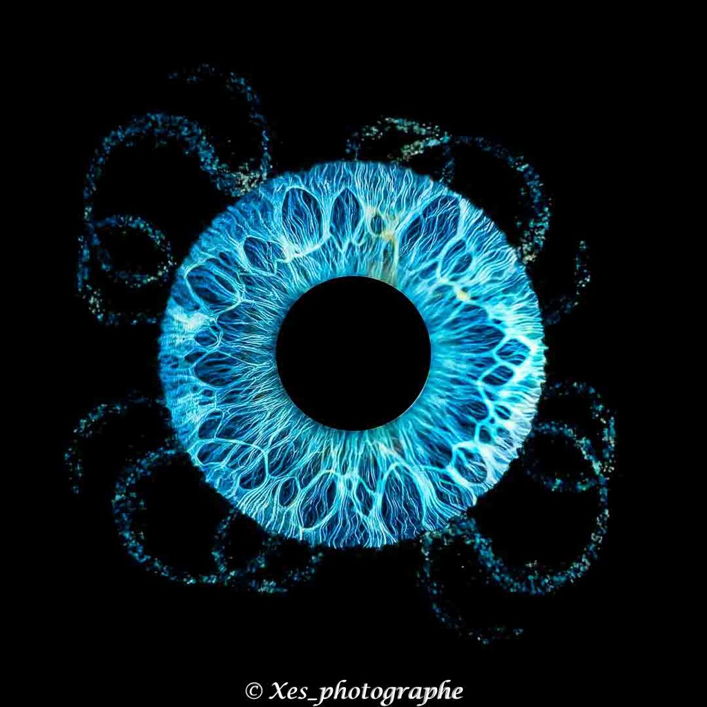 Photographie macro d'un iris et sa composition réalisée par Xes Photographe à Brest. Tirage d'art sur mesure