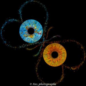 iris-duo-brest-xes-photographe