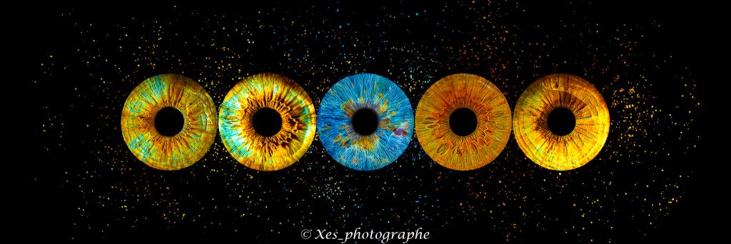 tableau-iris-famille-5-regards.jpg